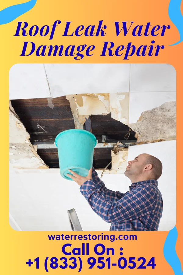 Roof Leak Water Damage Repair in Wallingford, IA